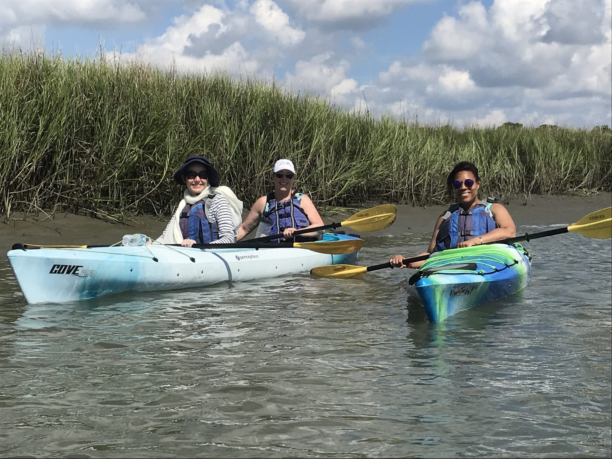 Click to hear a tour guide talk about salt marsh ecology!